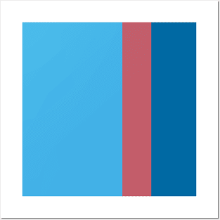 Color Study: Turquoise, Cerise, Cerulean Posters and Art